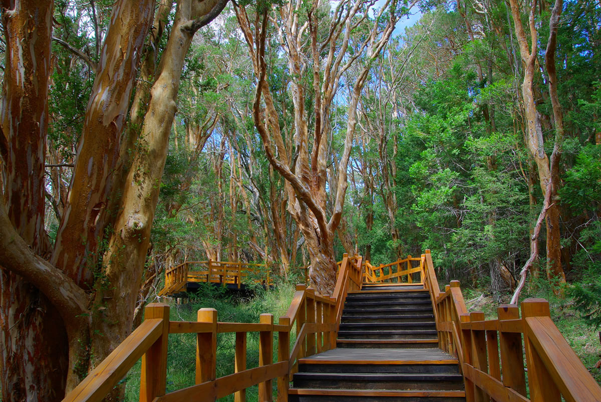 Los Arrayanes National Park national park